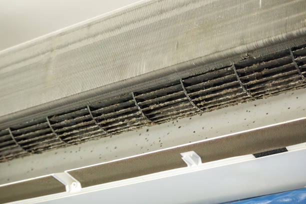Best Best Air Duct Cleaning Company  in Niagara, WI
